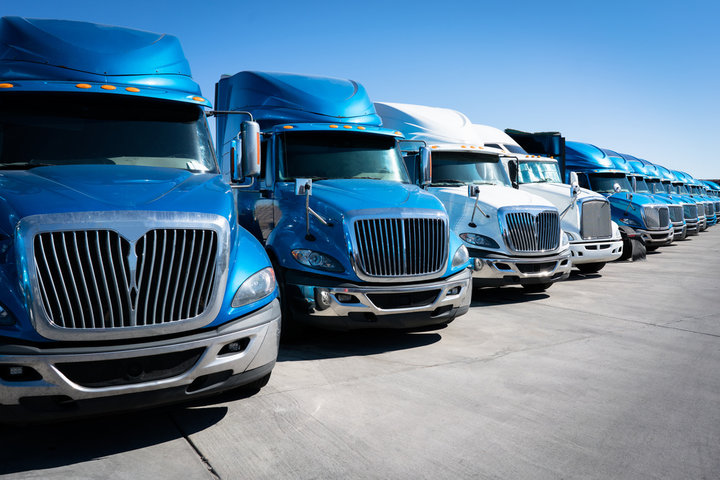 Fleet of semi trucks lined up representing the trucking industry career